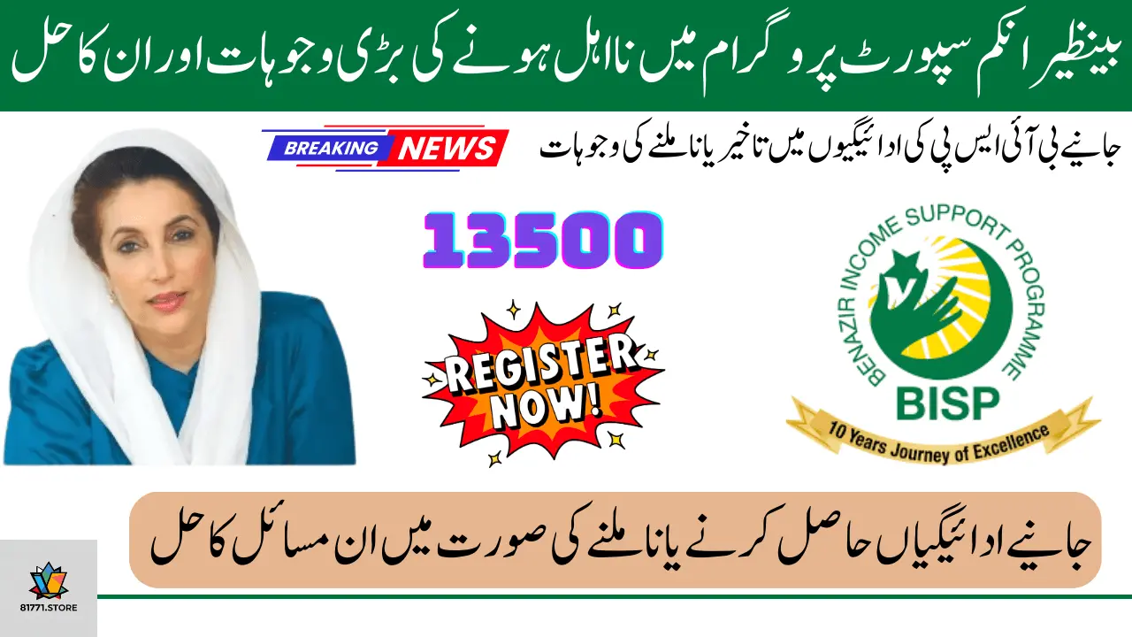 8171 Benazir Income Support Disqualification Reasons and Solutions 2025